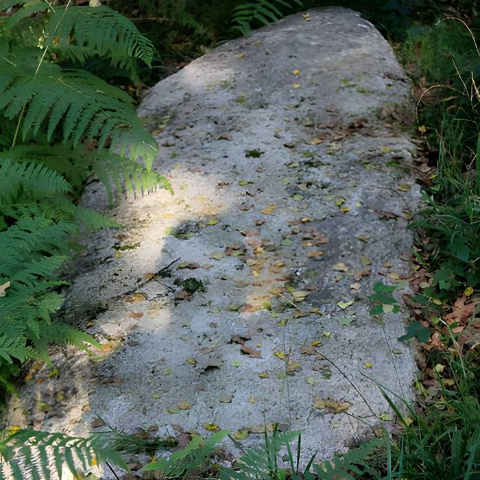 Photo de Alignement de menhirs dans la forêt domaniale de Floranges