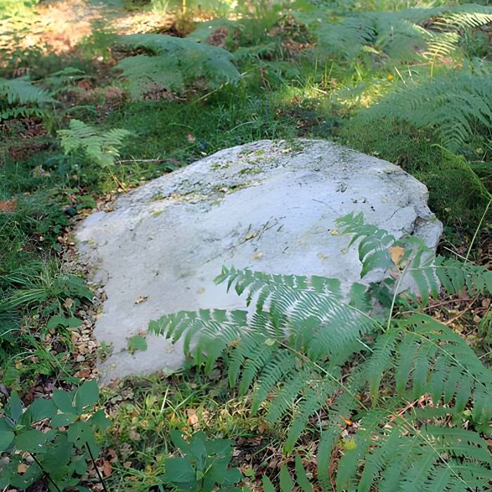 Photo de Alignement de menhirs dans la forêt domaniale de Floranges
