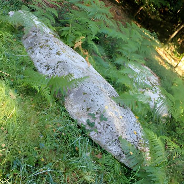 Photo de Alignement de menhirs dans la forêt domaniale de Floranges
