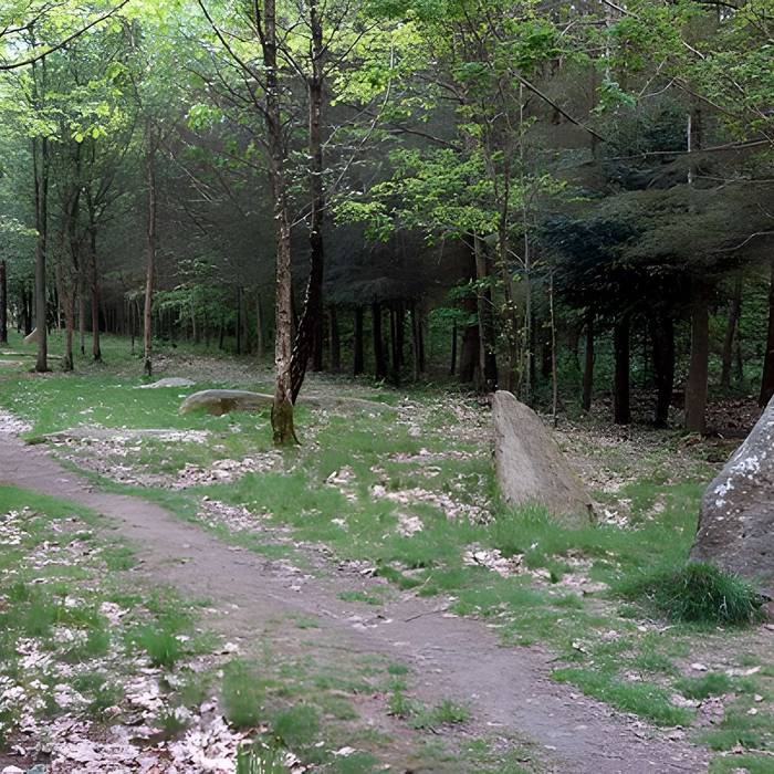 Photo de Alignement de menhirs dans la forêt domaniale de Floranges