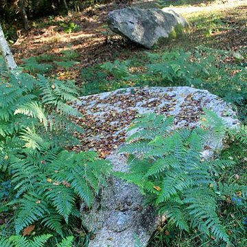 Alignement de menhirs dans la forêt domaniale de Floranges