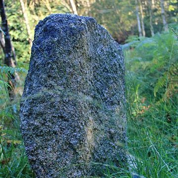 Alignement de menhirs dans la forêt domaniale de Floranges
