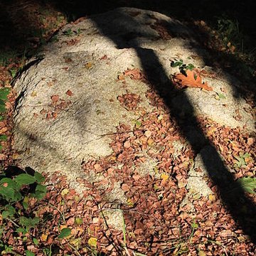 Alignement de menhirs dans la forêt domaniale de Floranges