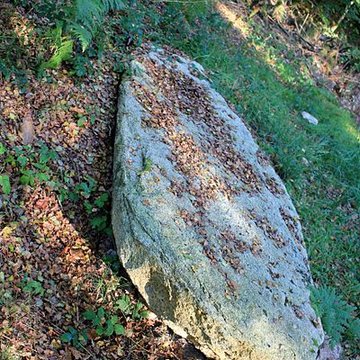 Alignement de menhirs dans la forêt domaniale de Floranges