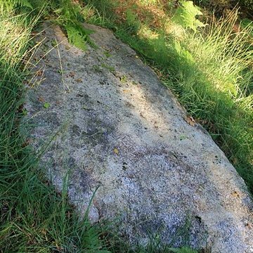 Alignement de menhirs dans la forêt domaniale de Floranges