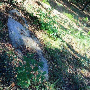 Alignement de menhirs dans la forêt domaniale de Floranges
