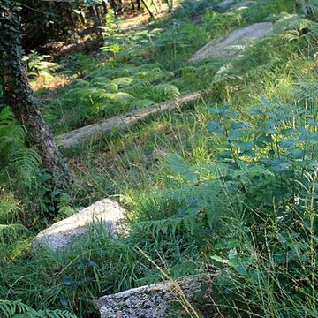 Alignement de menhirs dans la forêt domaniale de Floranges