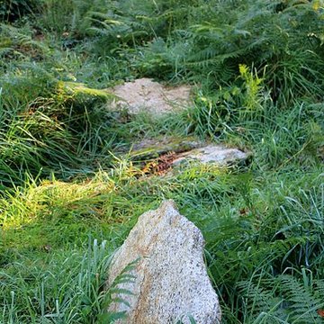 Alignement de menhirs dans la forêt domaniale de Floranges