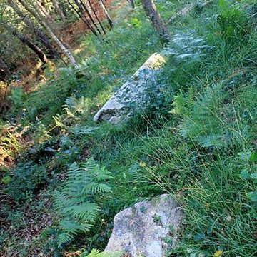 Alignement de menhirs dans la forêt domaniale de Floranges