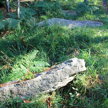 Alignement de menhirs dans la forêt domaniale de Floranges