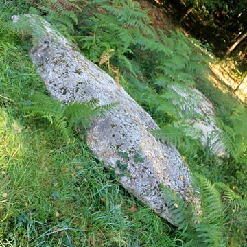 Alignement de menhirs dans la forêt domaniale de Floranges