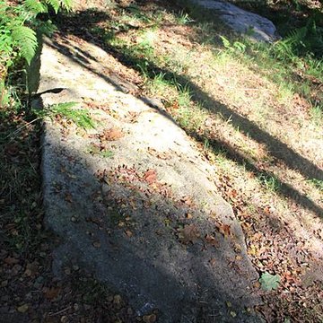 Alignement de menhirs dans la forêt domaniale de Floranges