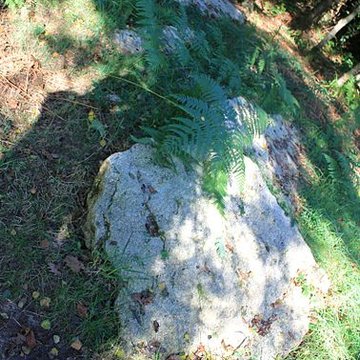 Alignement de menhirs dans la forêt domaniale de Floranges