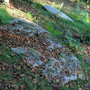 Alignement de menhirs dans la forêt domaniale de Floranges