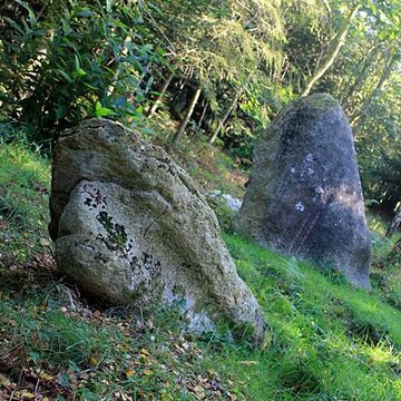 Alignement de menhirs dans la forêt domaniale de Floranges