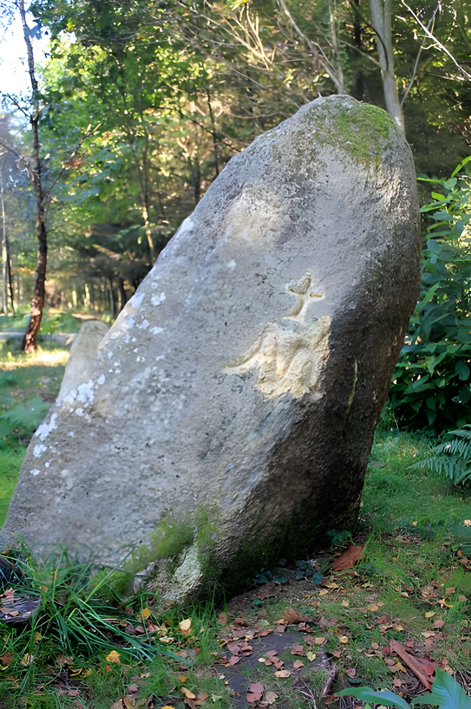 Alignement de menhirs dans la forêt domaniale de Floranges