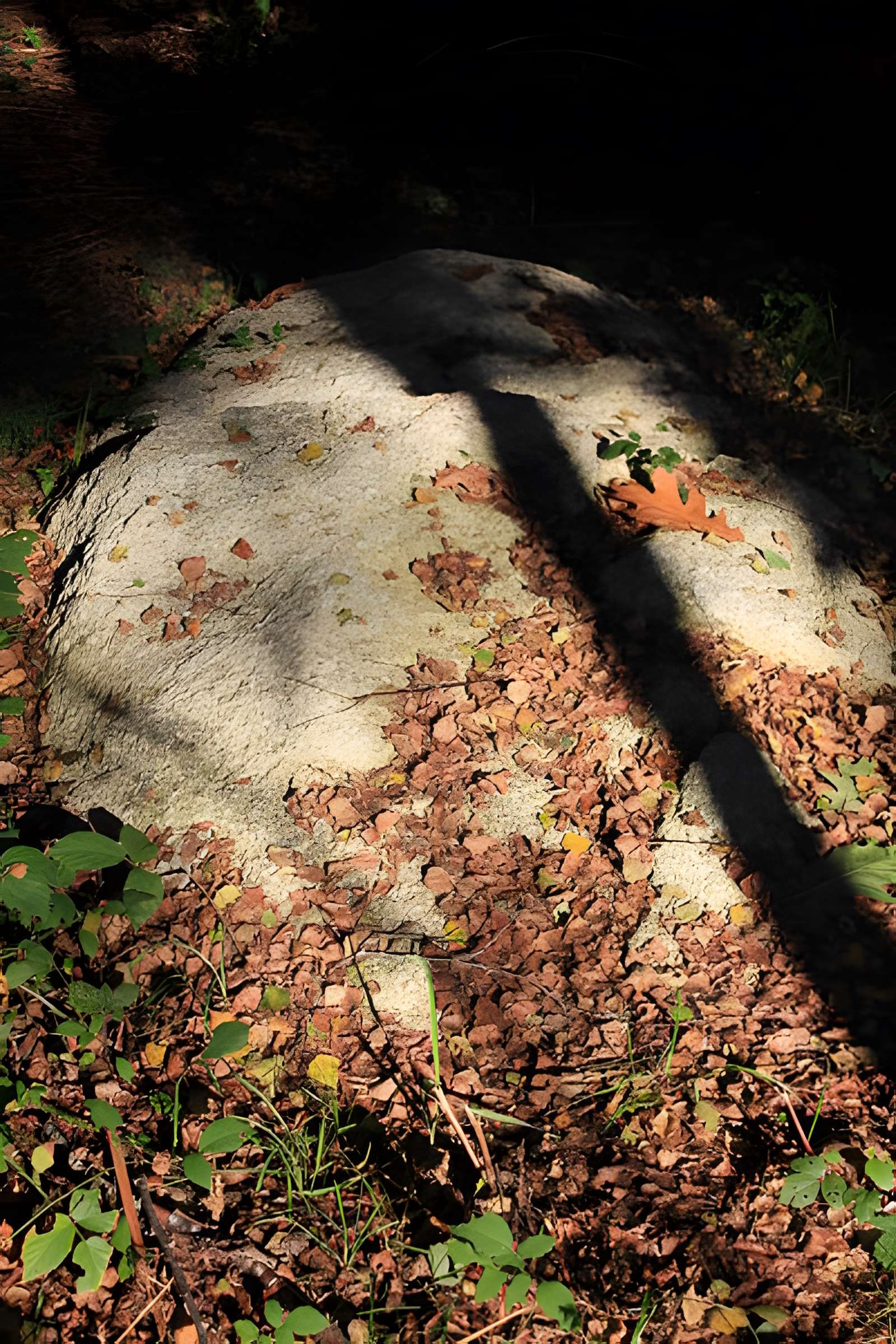 Alignement de menhirs dans la forêt domaniale de Floranges