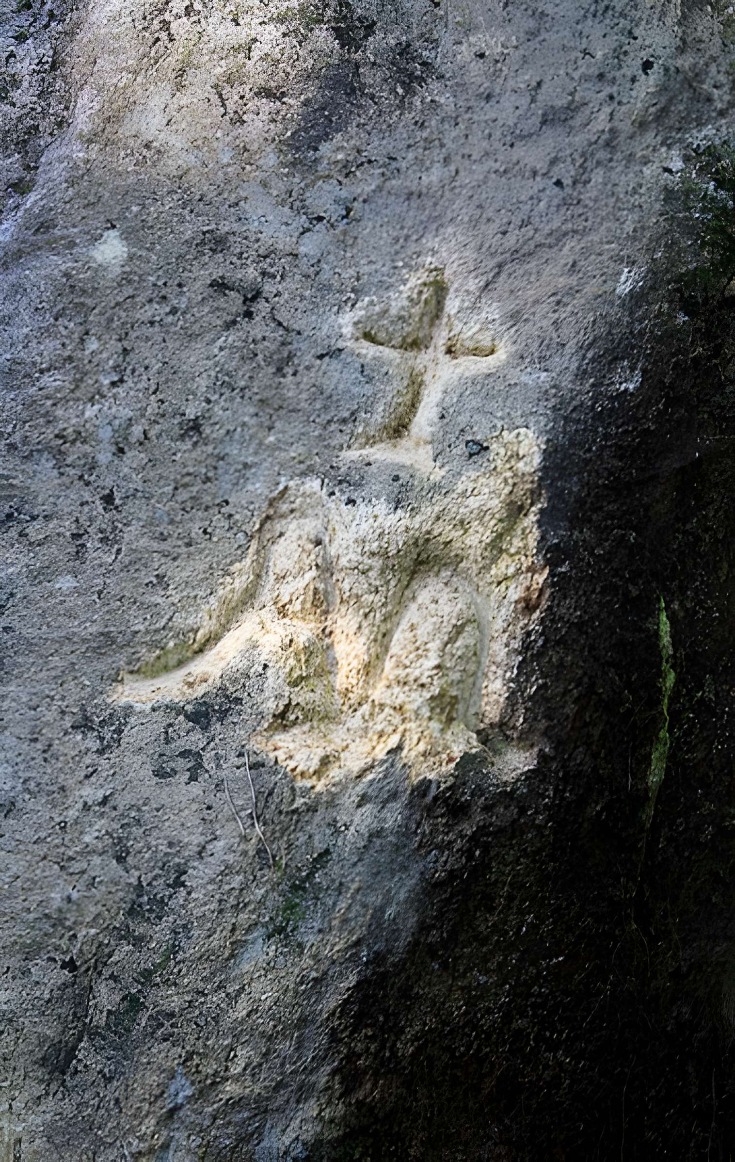 Alignement de menhirs dans la forêt domaniale de Floranges