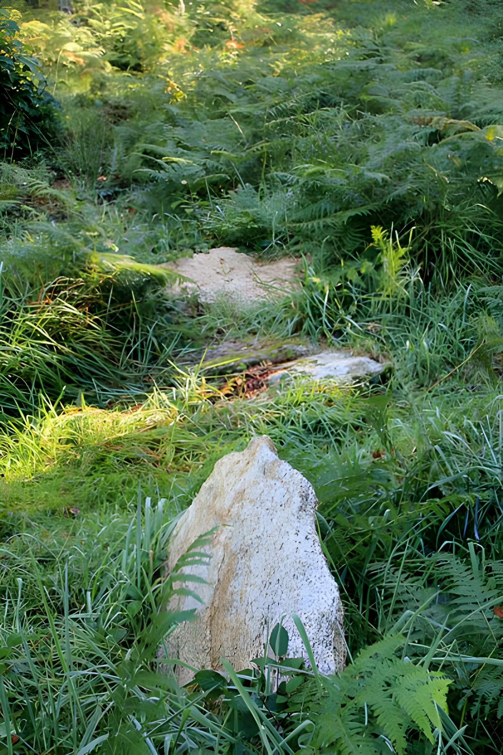 Alignement de menhirs dans la forêt domaniale de Floranges