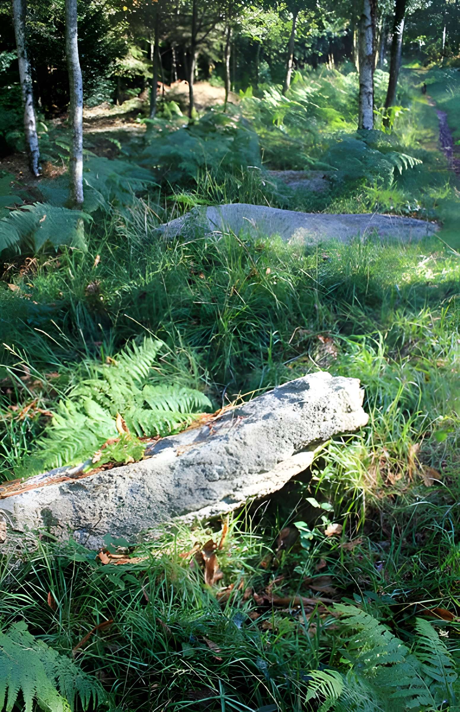 Alignement de menhirs dans la forêt domaniale de Floranges
