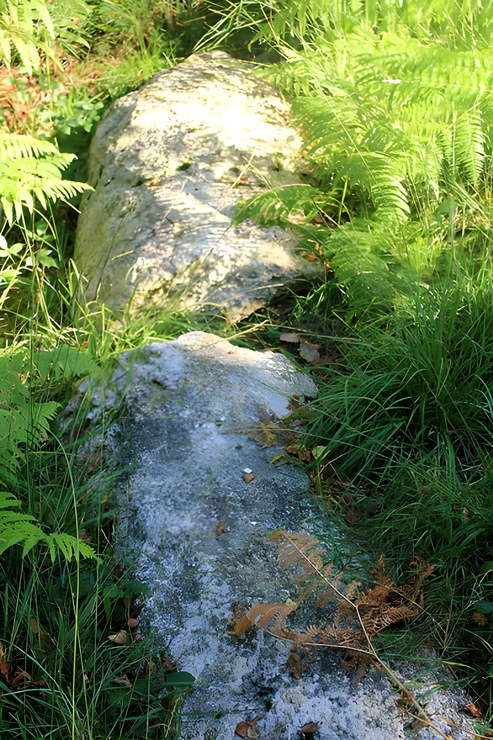 Alignement de menhirs dans la forêt domaniale de Floranges