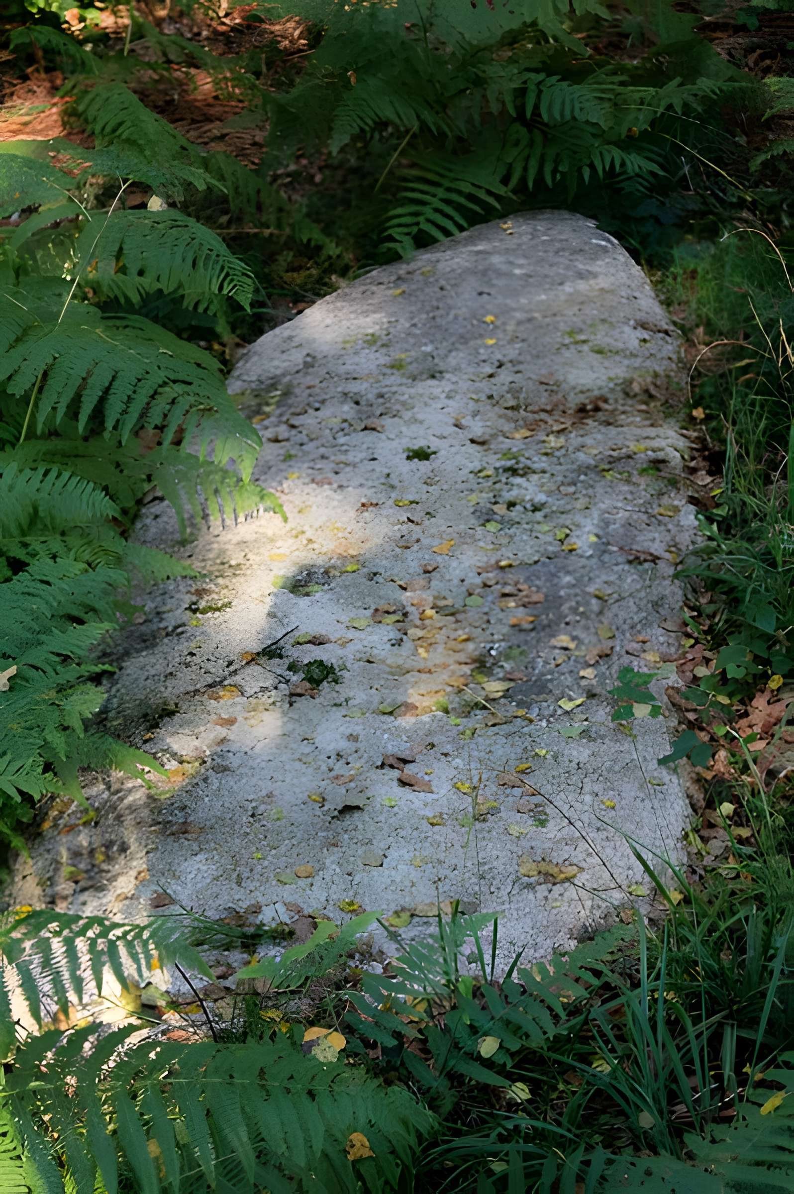 Alignement de menhirs dans la forêt domaniale de Floranges