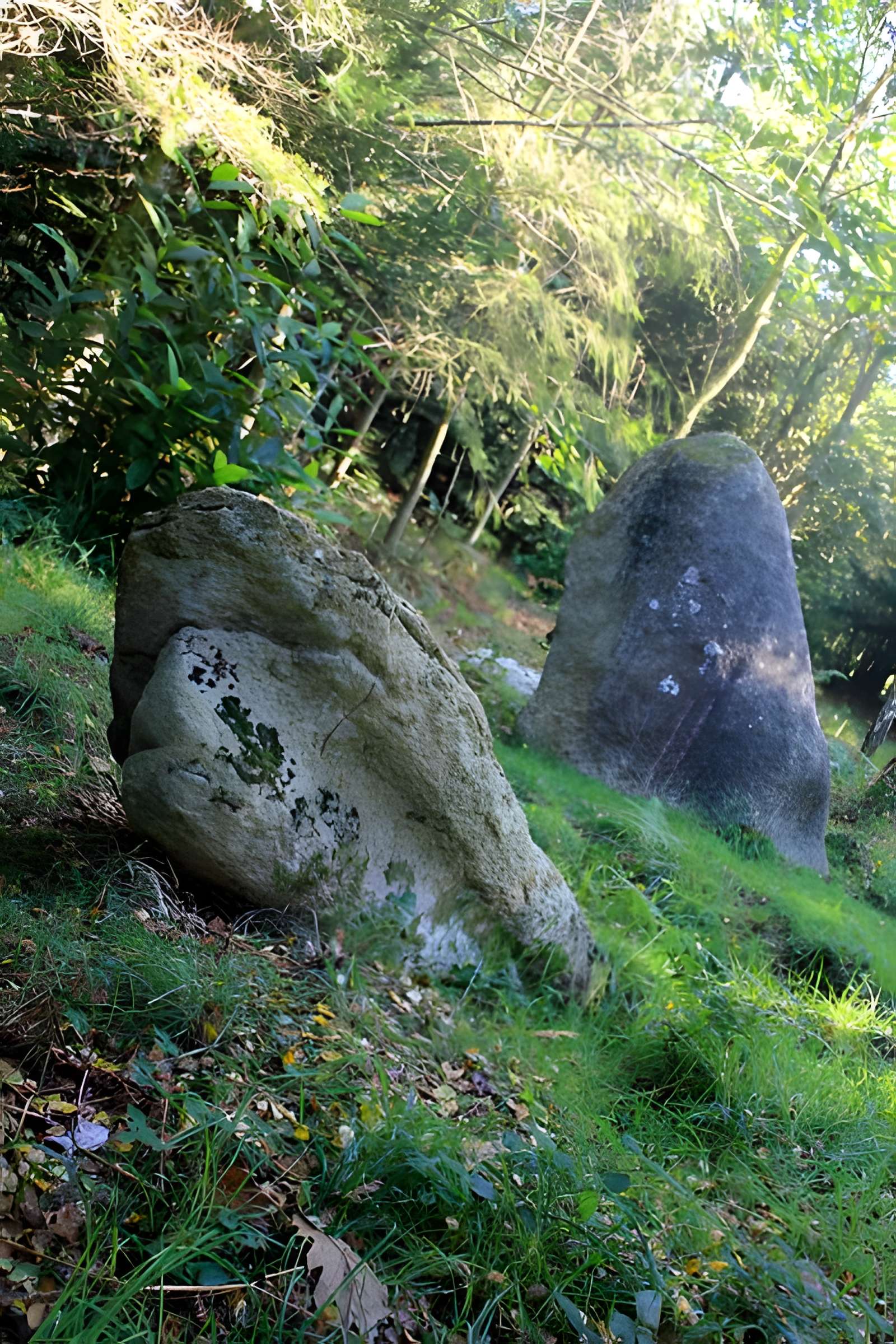 Alignement de menhirs dans la forêt domaniale de Floranges