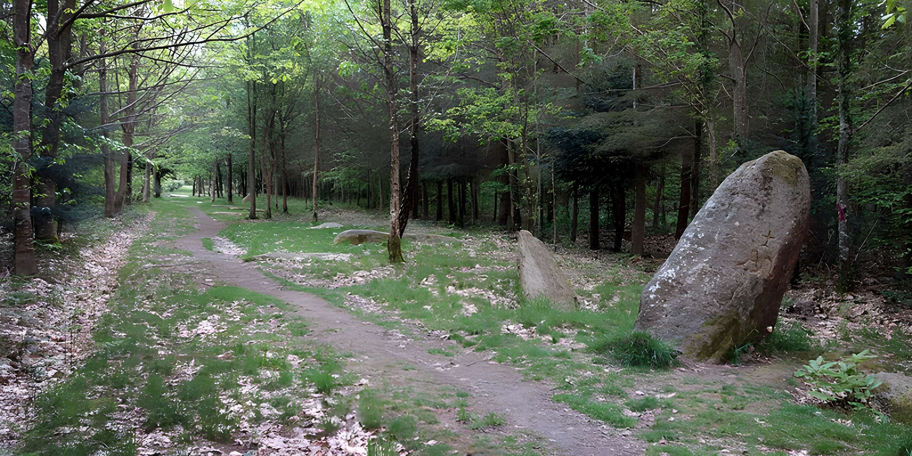 Alignement de menhirs dans la forêt domaniale de Floranges
