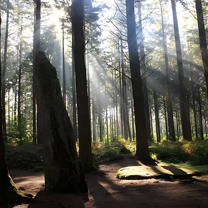 Photo de Deux menhirs