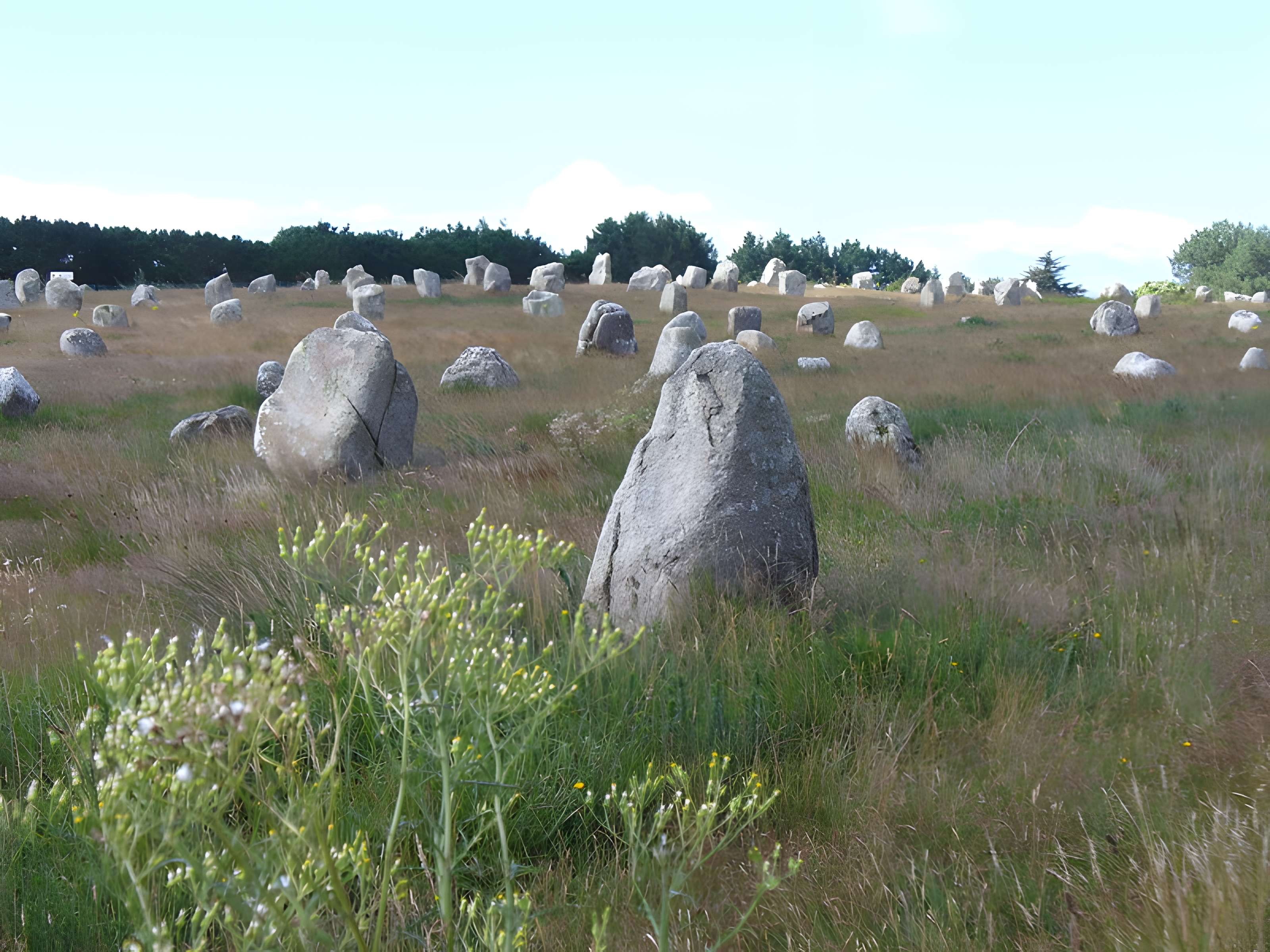 Alignement du Ménec