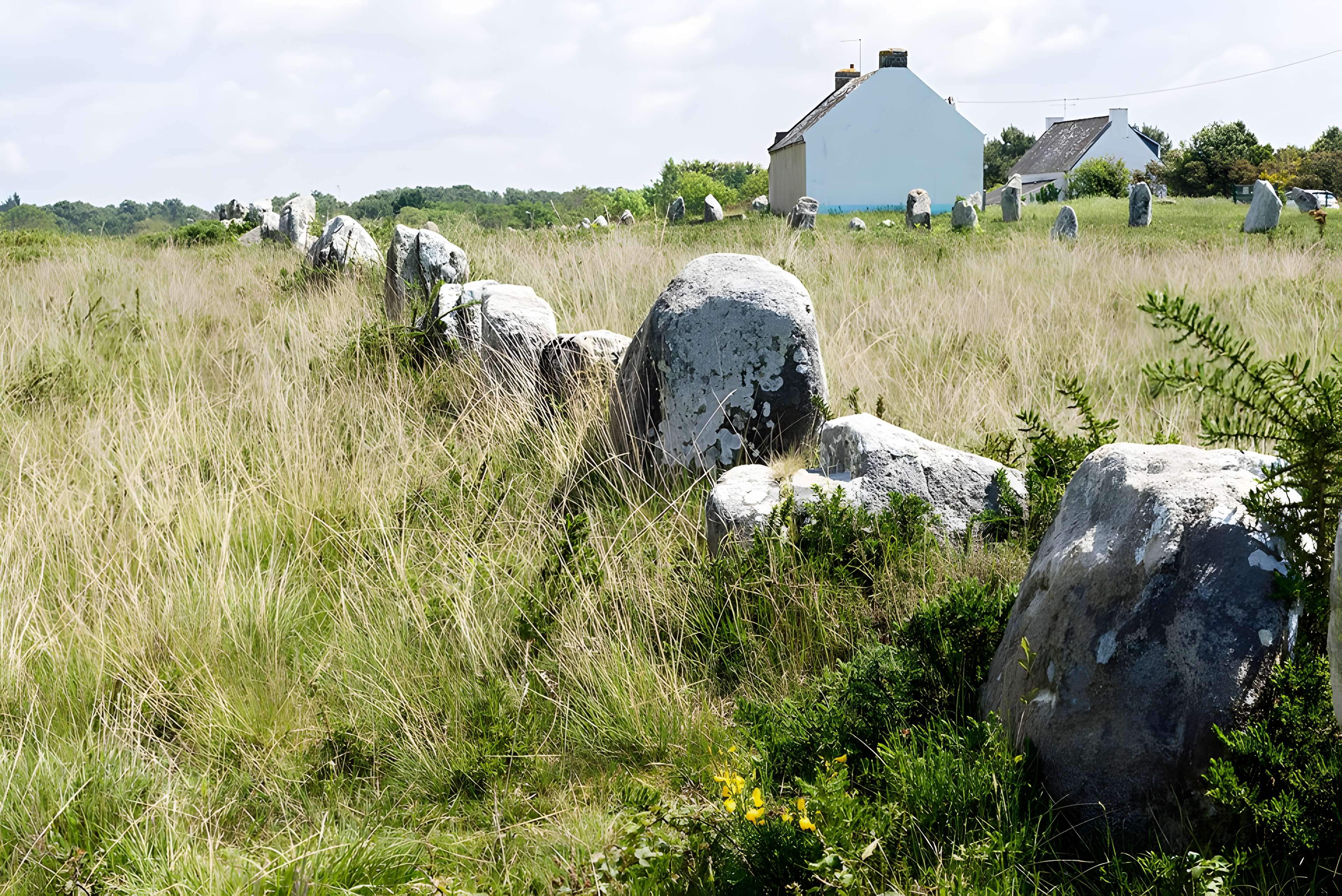 Alignement du Ménec