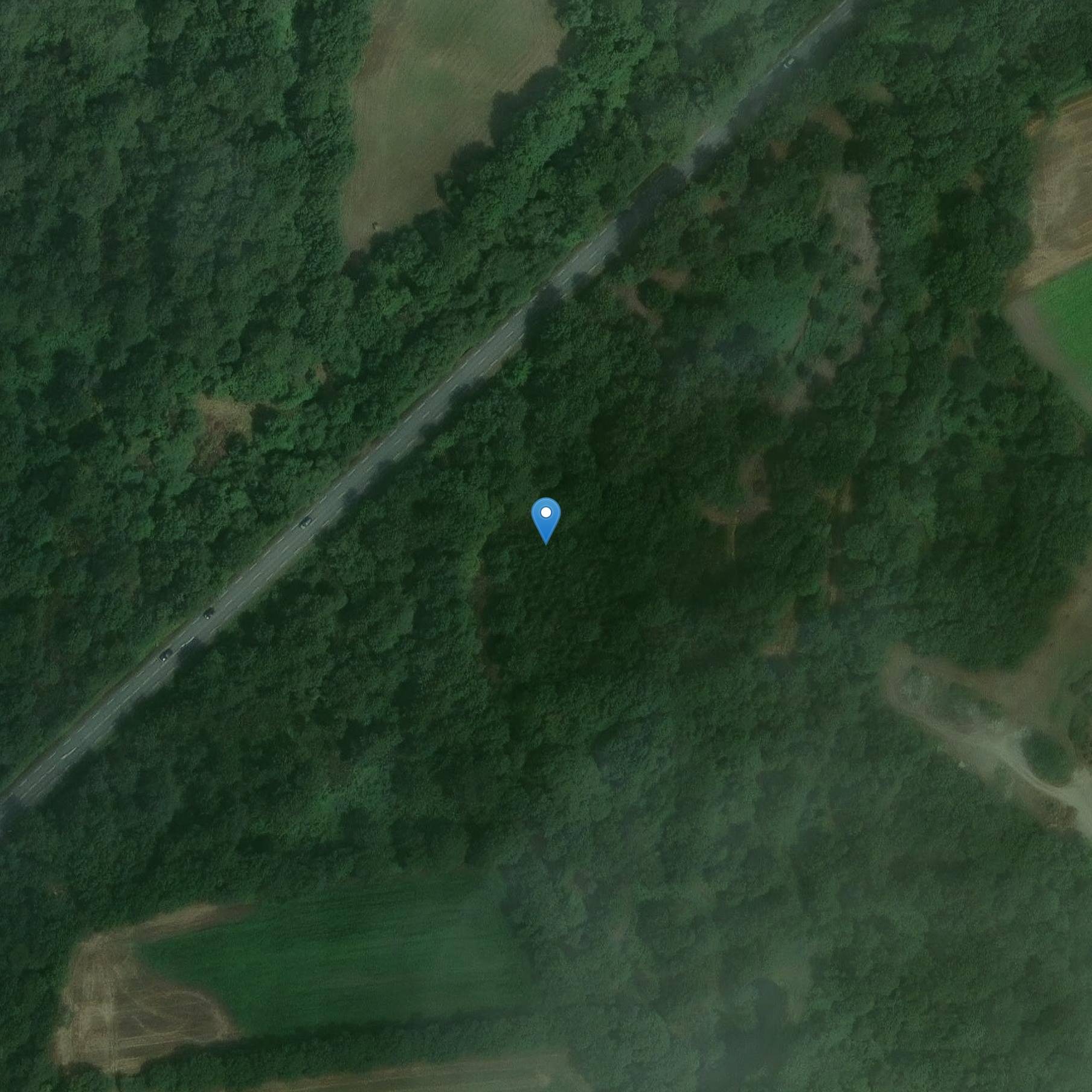 Photo de Due menhir allineati