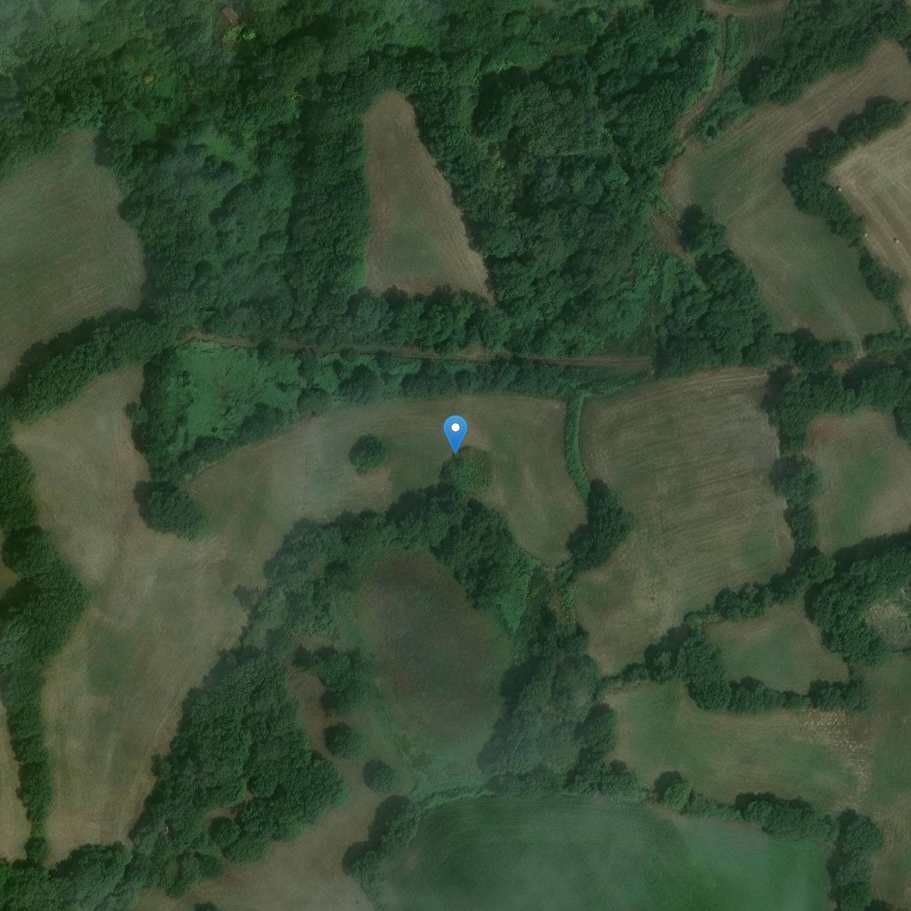 Photo de Dolmen de Kerdrain con la base del suo tumulo