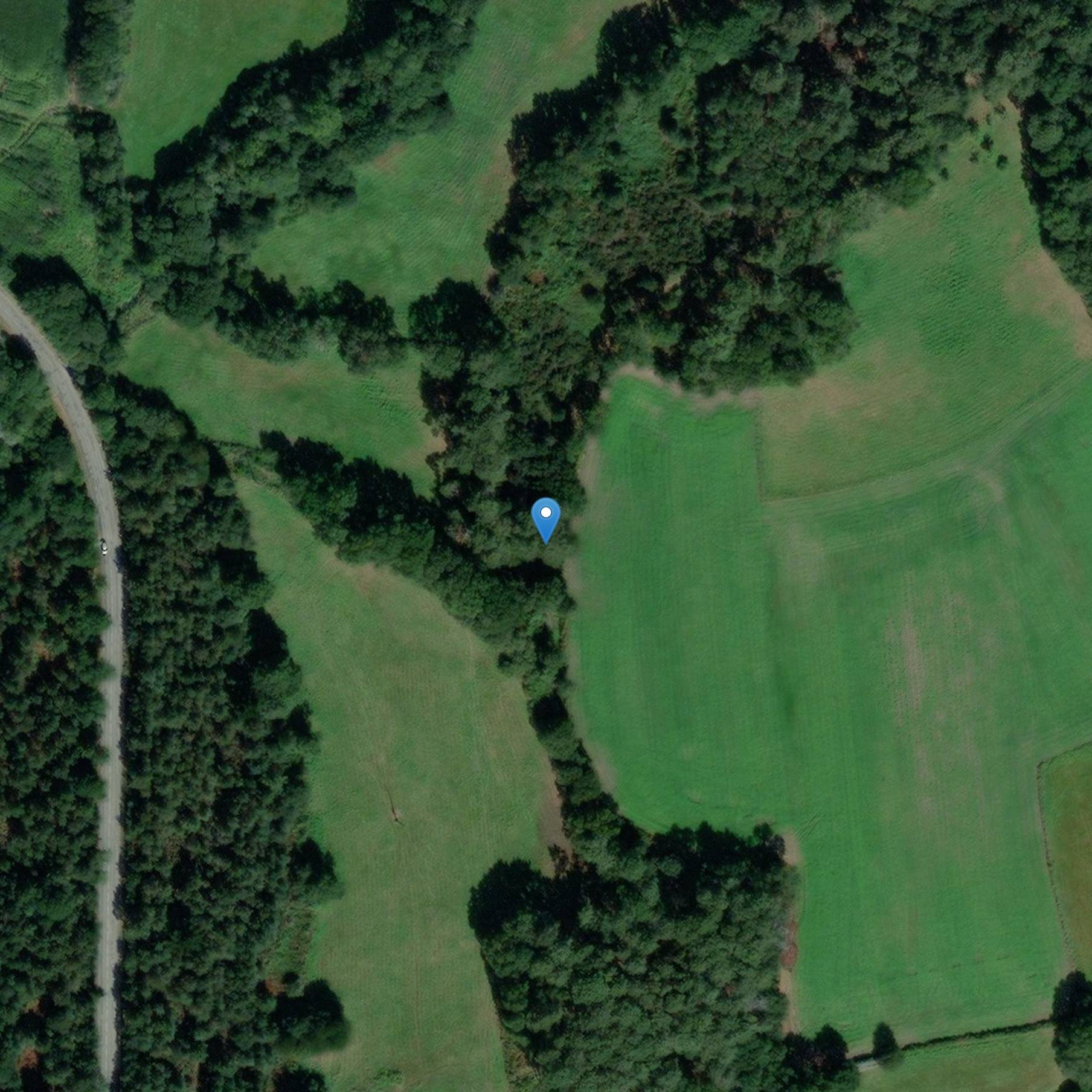 Photo de Gaulish 習慣