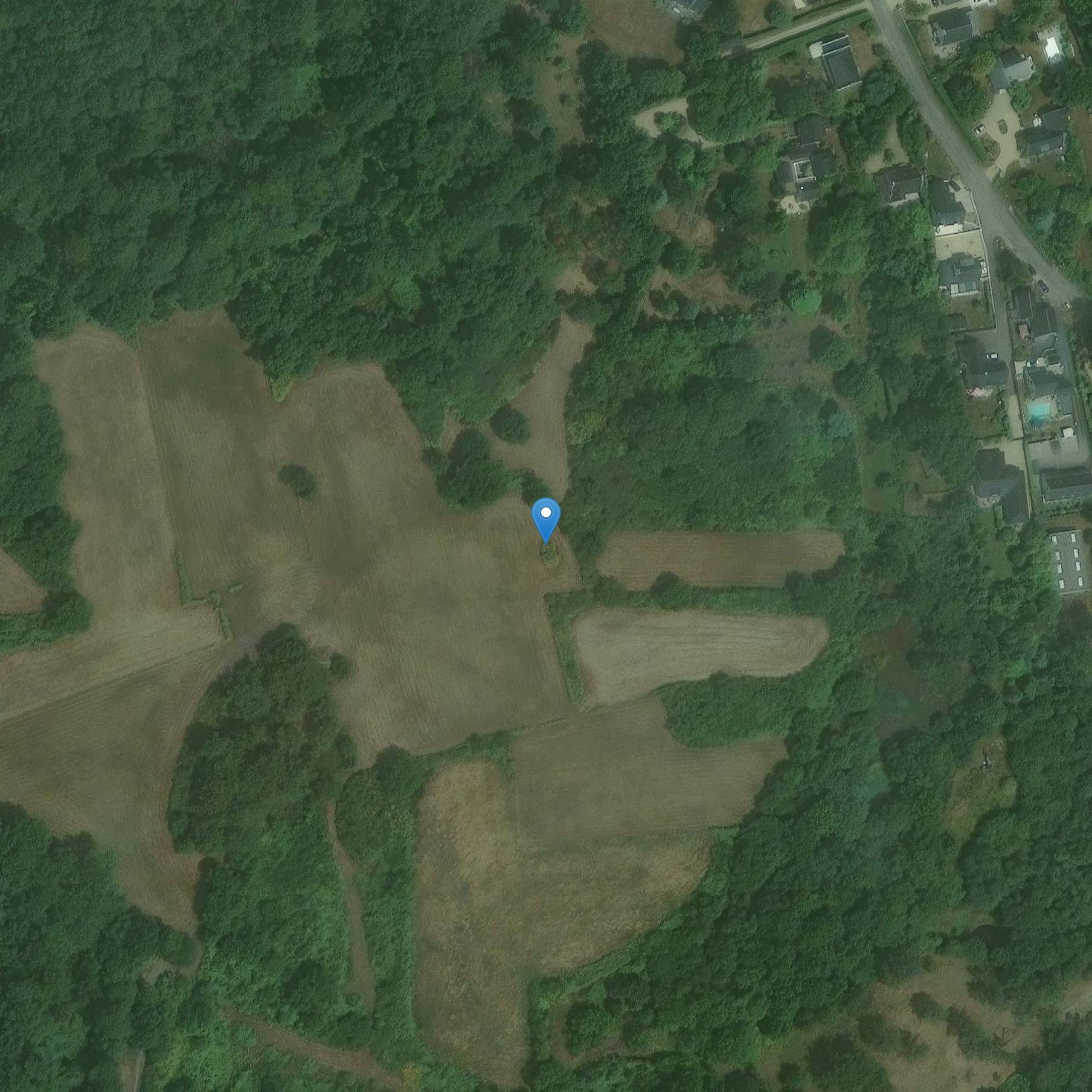 Photo de メンヒル・デ・クリフオール