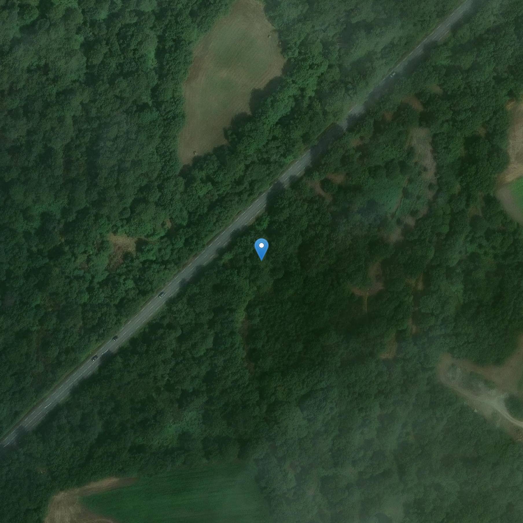 Photo de Huit menhirs alignés