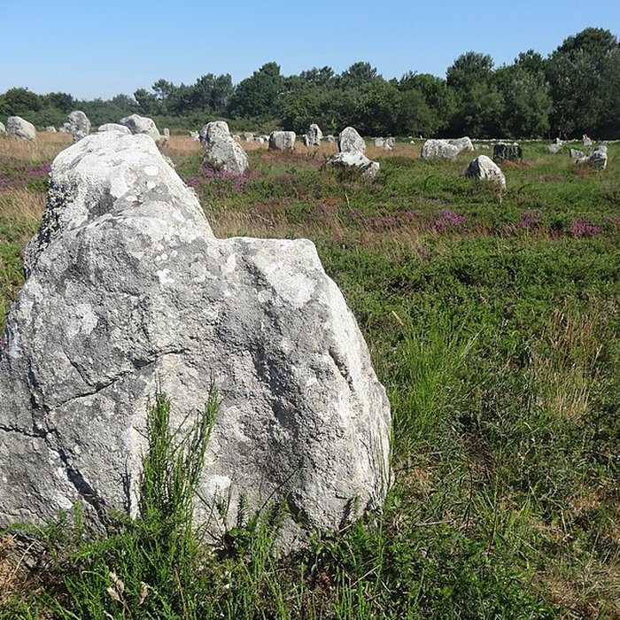 Photo de Six menhirs de lenceinte du Ménec