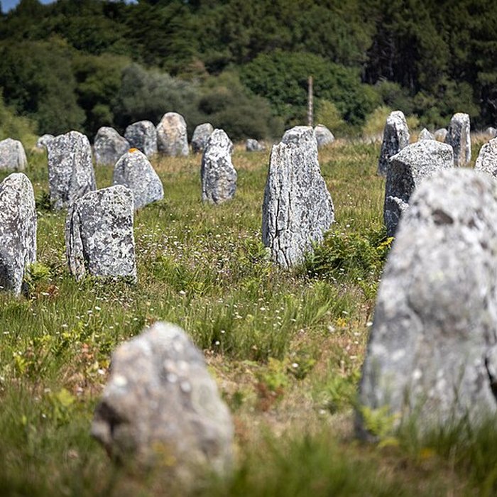 Photo de Six menhirs de lenceinte du Ménec