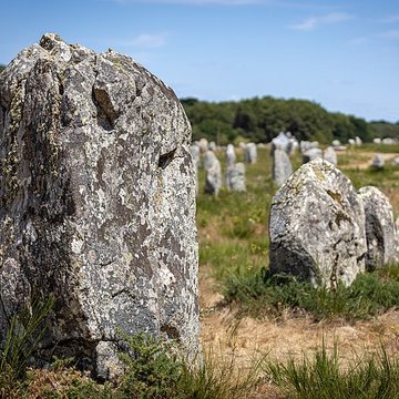 Six menhirs de lenceinte du Ménec