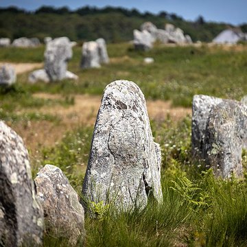 Six menhirs de lenceinte du Ménec