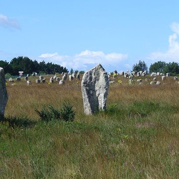 Six menhirs de lenceinte du Ménec