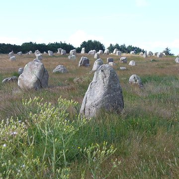 Six menhirs de lenceinte du Ménec