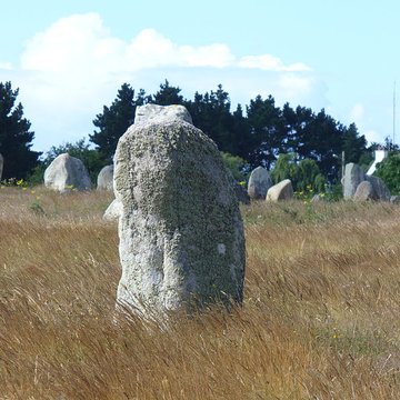 Six menhirs de lenceinte du Ménec
