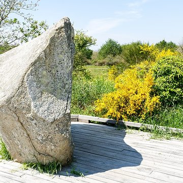 Six menhirs de lenceinte du Ménec