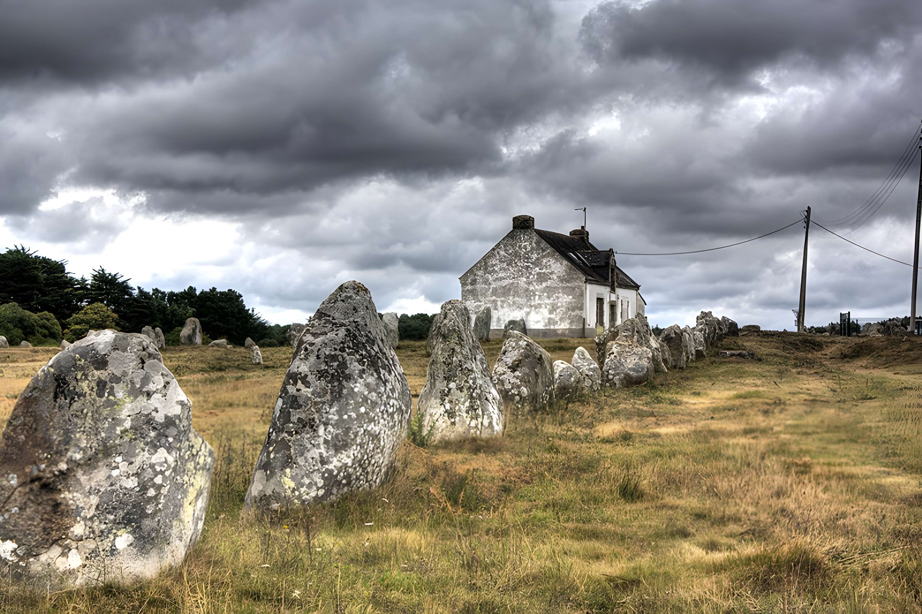 Six menhirs de l'enceinte du Ménec