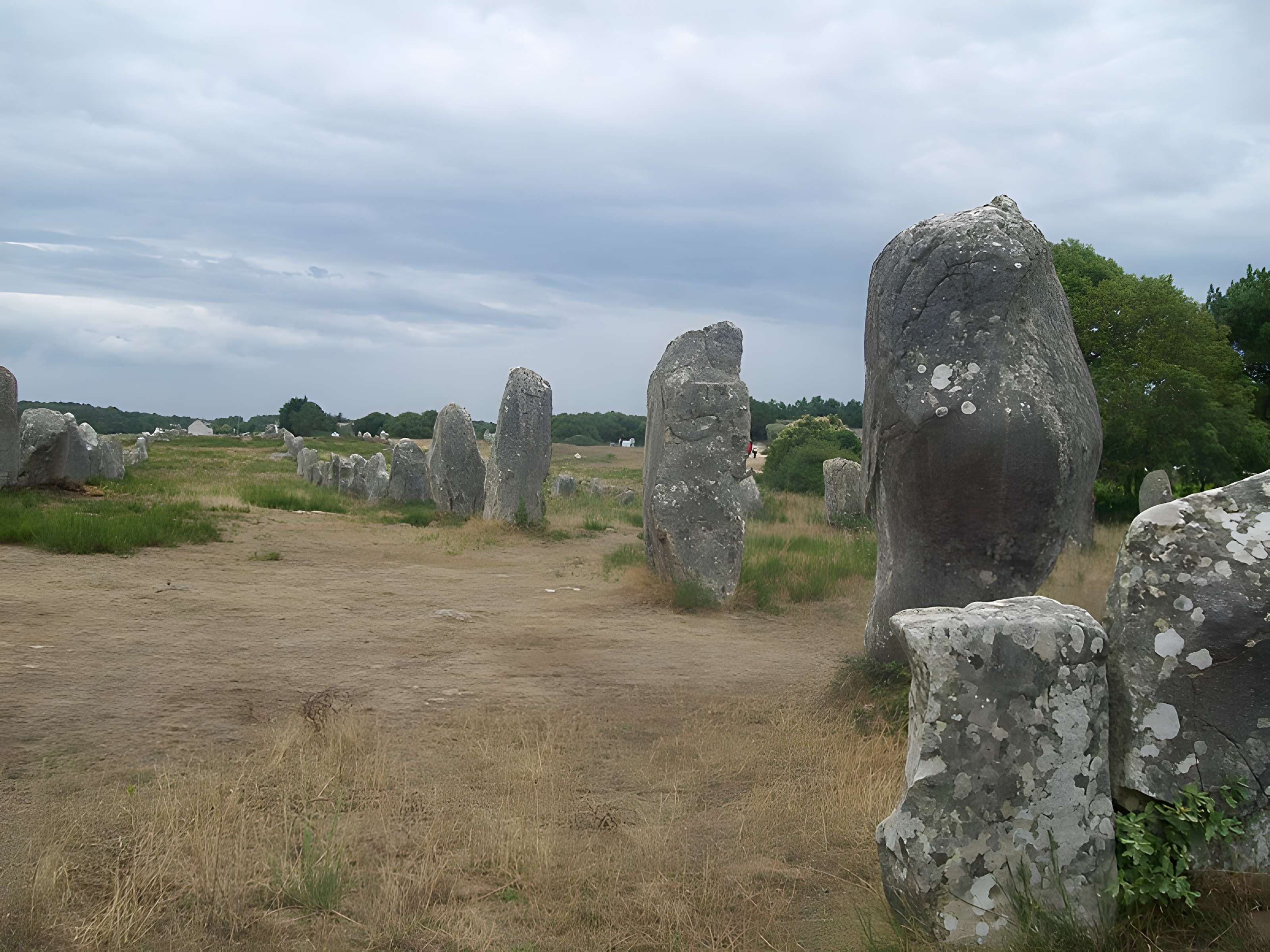 Six menhirs de l'enceinte du Ménec