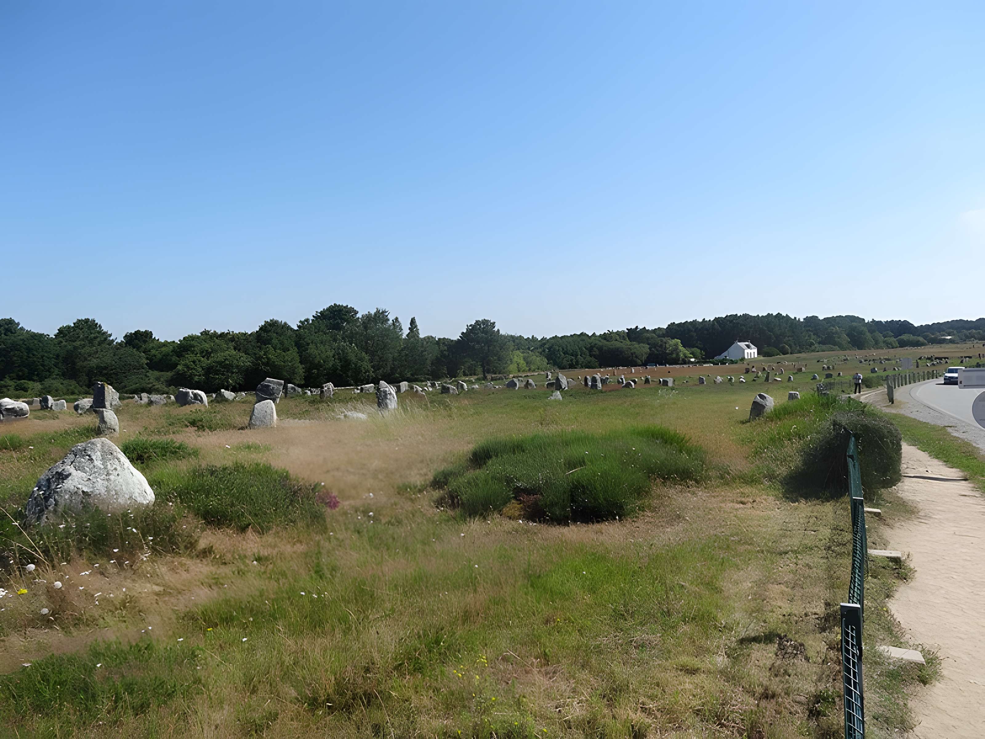 Six menhirs de l'enceinte du Ménec