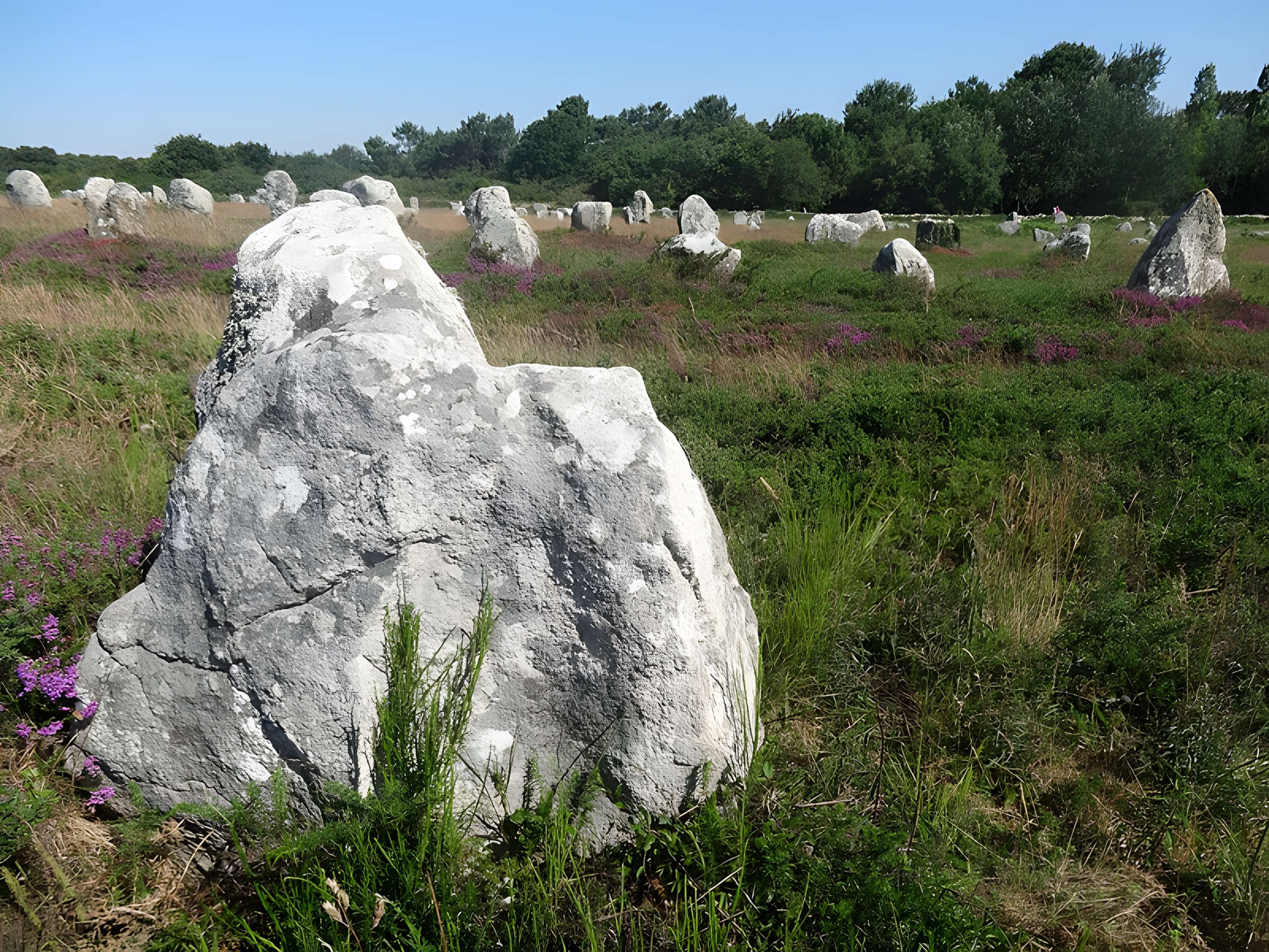 Six menhirs de l'enceinte du Ménec