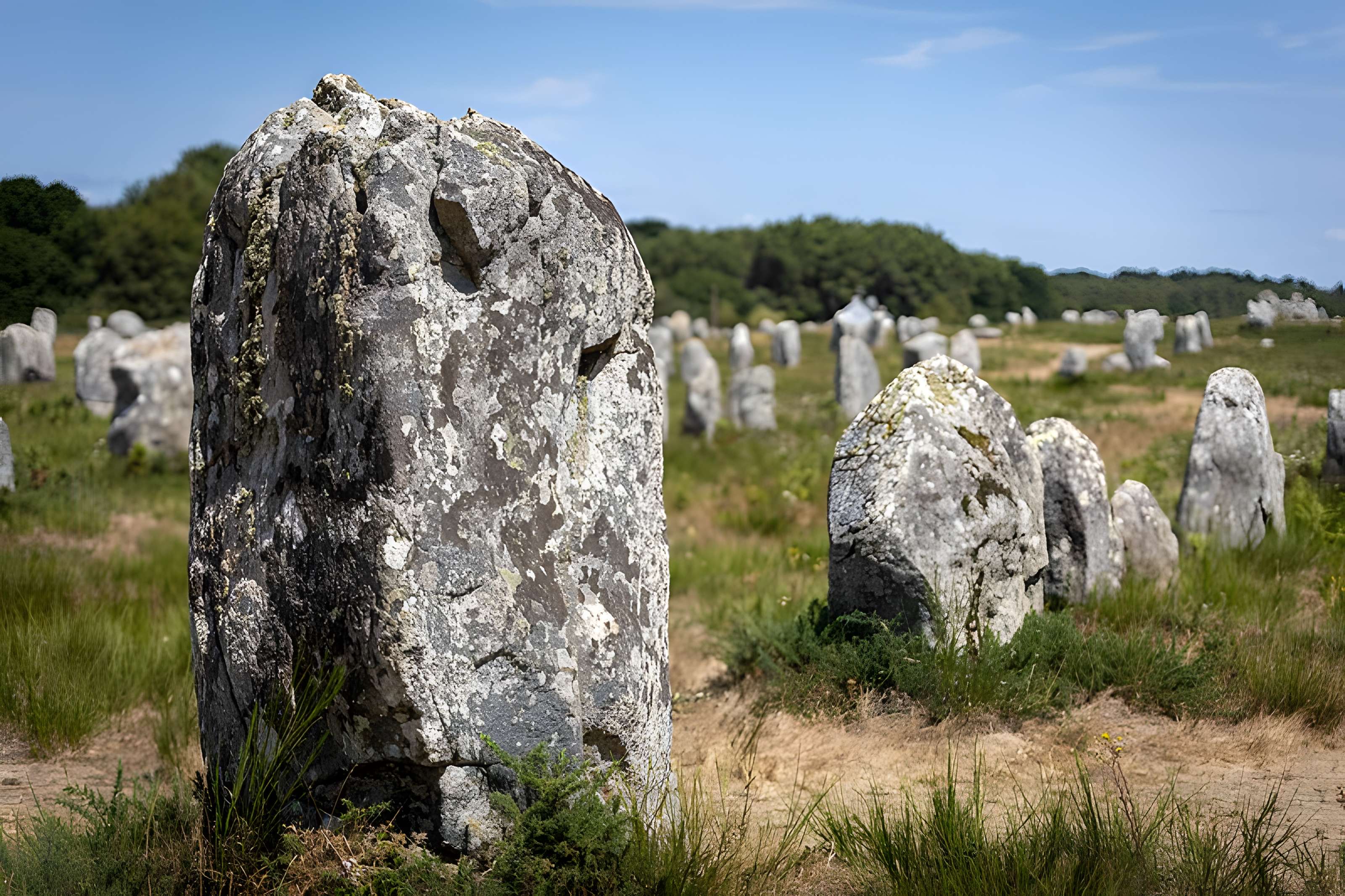 Six menhirs de l'enceinte du Ménec