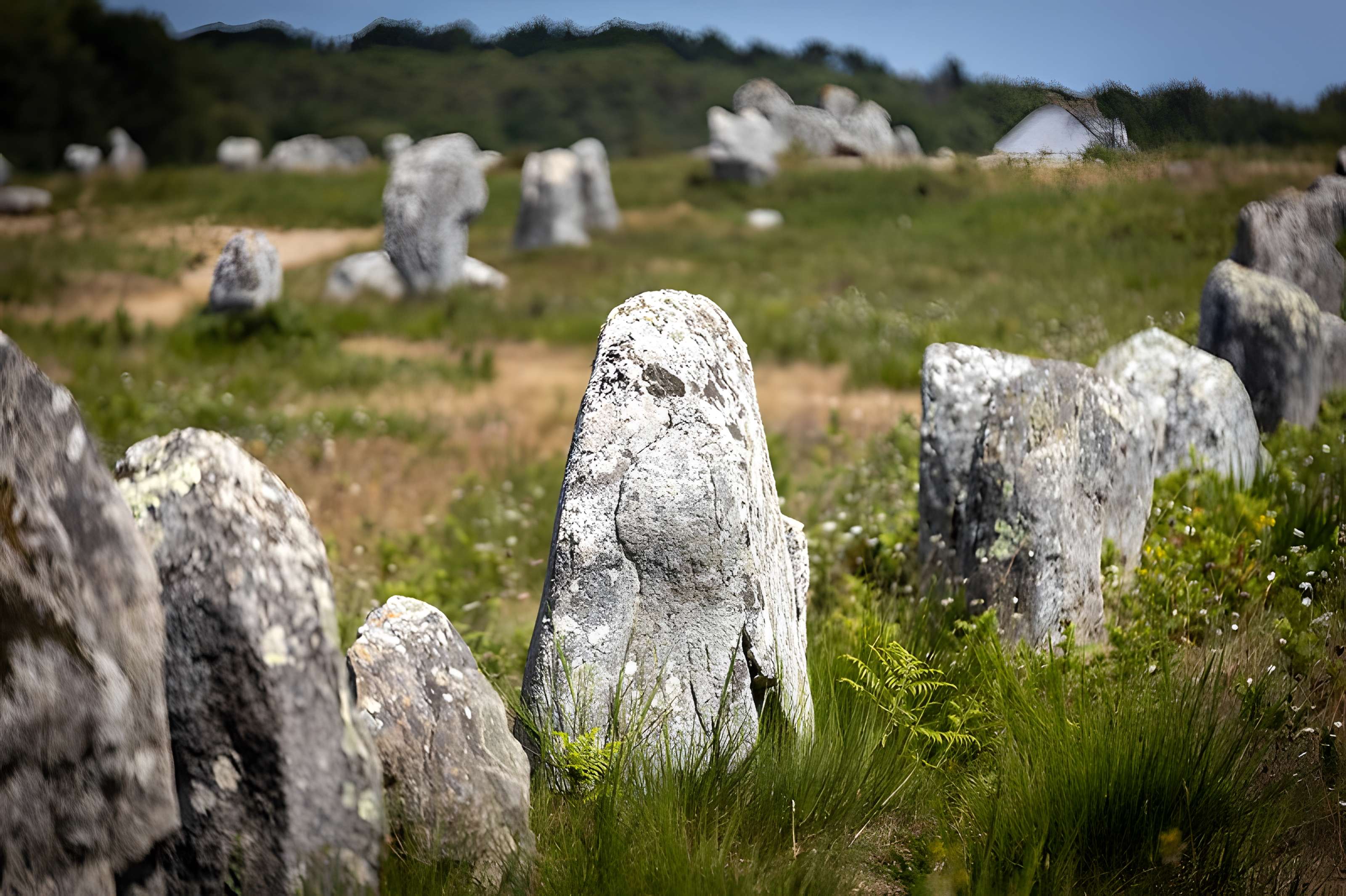 Six menhirs de l'enceinte du Ménec